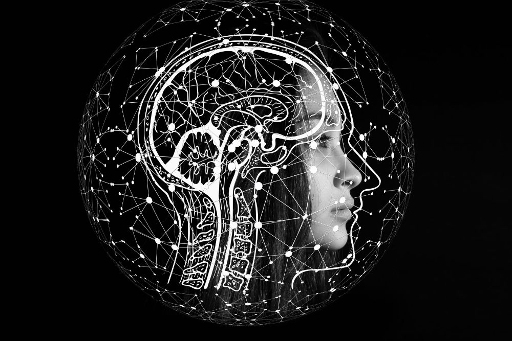 Kilka słów o neuroplastyczności mózgu