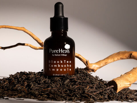 Black Tea Kombucha